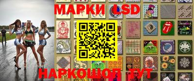шишки Обь