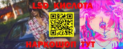 шишки Обь