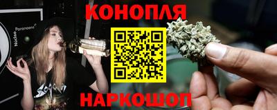 шишки Обь