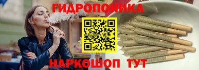 шишки Обь