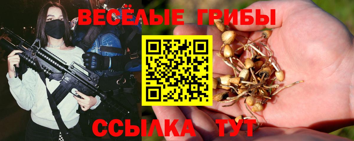 Псилоцибиновые грибы Magic Shrooms  Вход с VPN  Псилоцибиновые грибы Psilocybe  Сегежа 