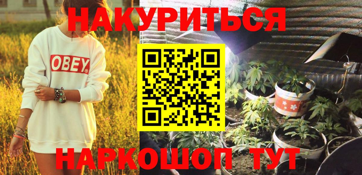 Конопля семена  Конопля план  Бошки Шишки Bruce Banner  Сегежа  Вход с VPN 